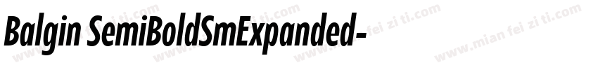 Balgin SemiBoldSmExpanded字体转换